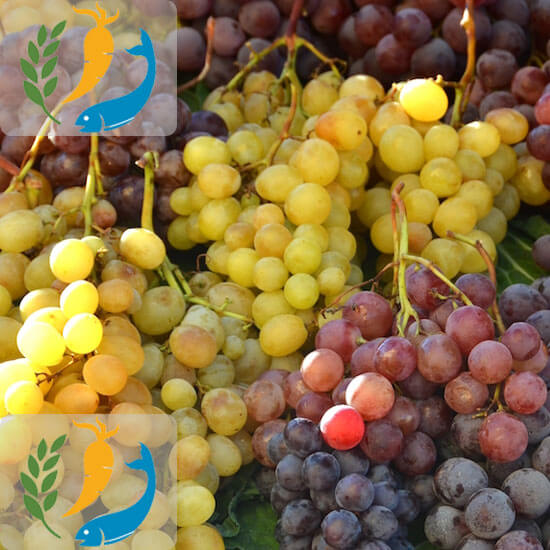 Best Nutritional Benefits Of Grapes