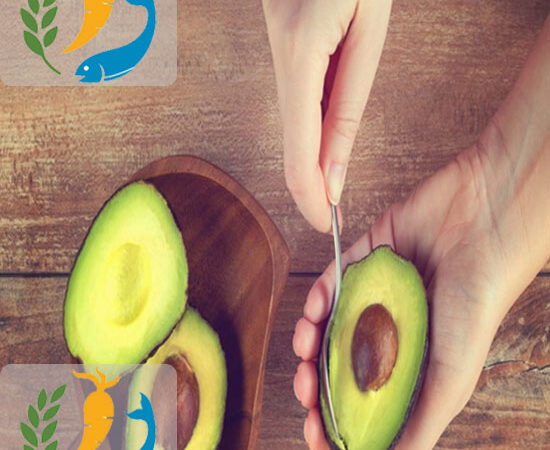 Best Health Benefits Of Avocado
