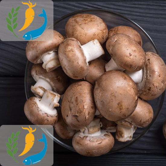Nutrition In Mushrooms