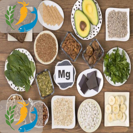The Best Magnesium Rich Foods