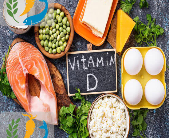 Vitamin D Rich Foods