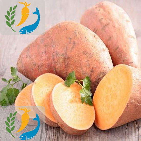 Nutrition Benefits Of Sweet Potatoes 
